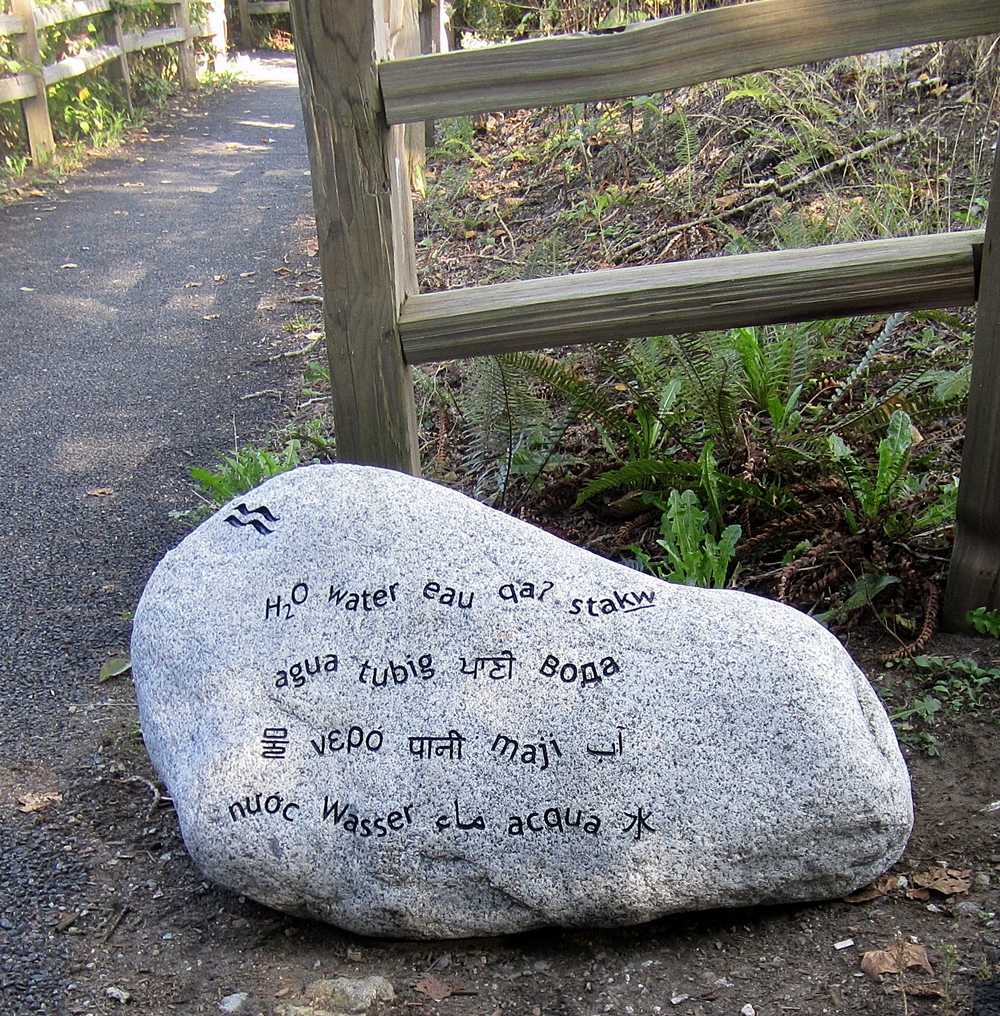 Still Creek Boulder Photo